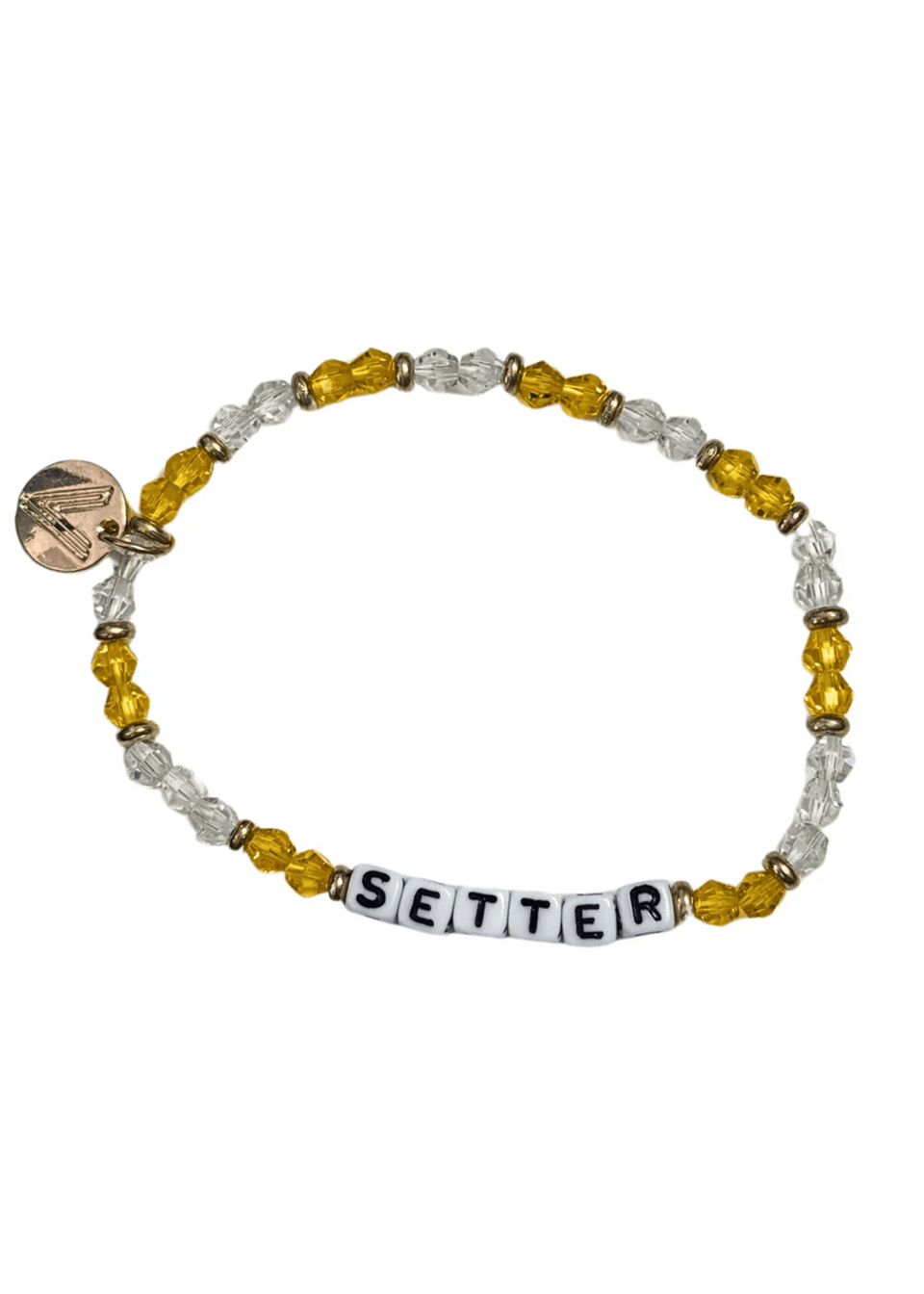 Setter Gift Bundle